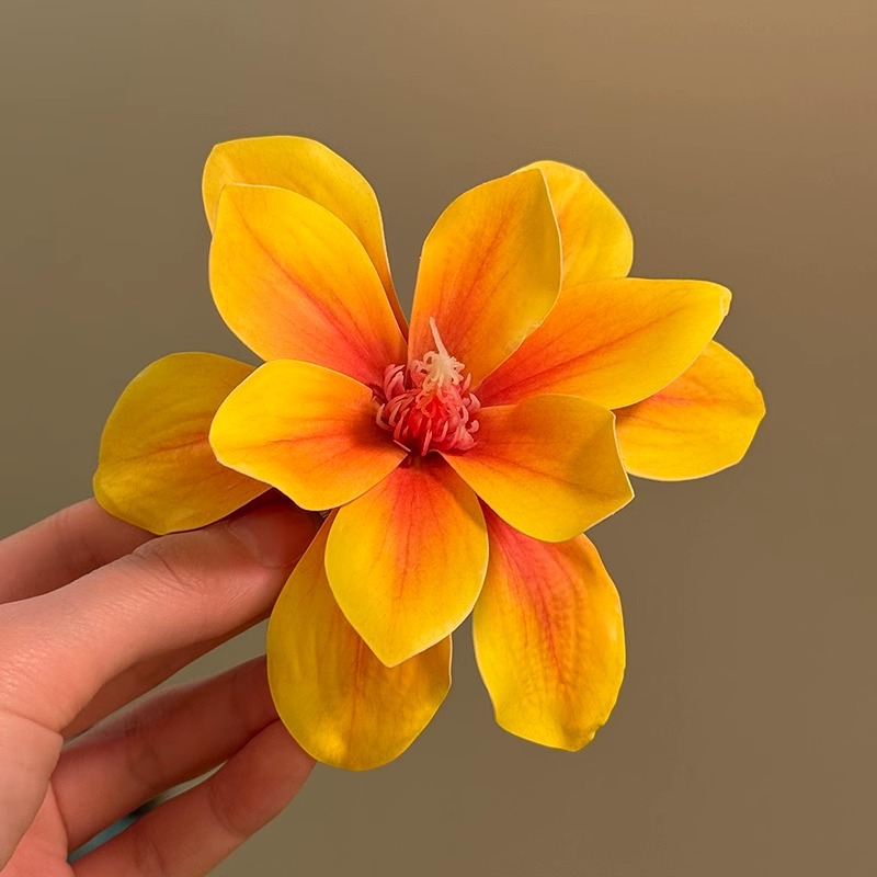 Beach vacation style, yellow f - Photography Yellow avis et prix