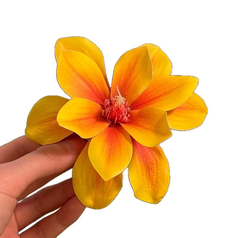 Beach vacation style, yellow f - Photography Yellow avis et prix