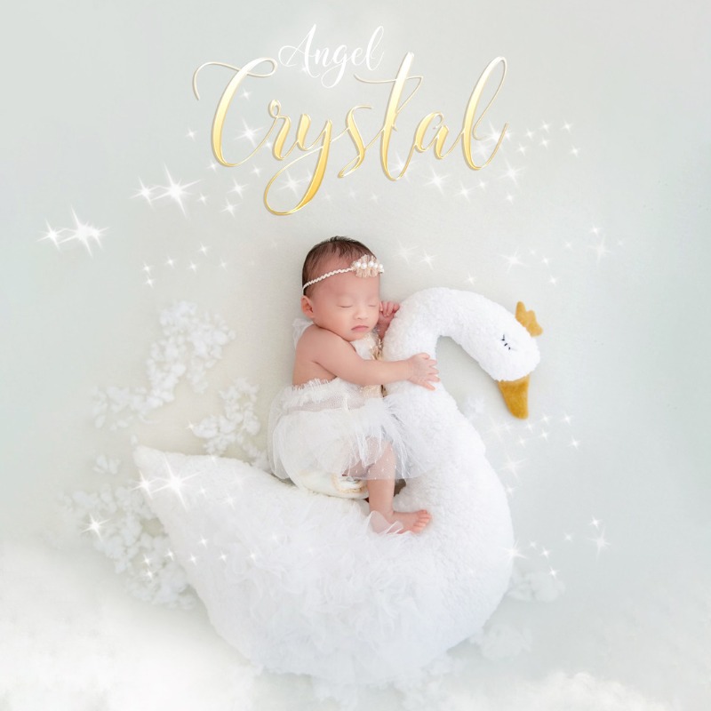 Newborn Photography Prop Swan  - Photography Day avis et prix