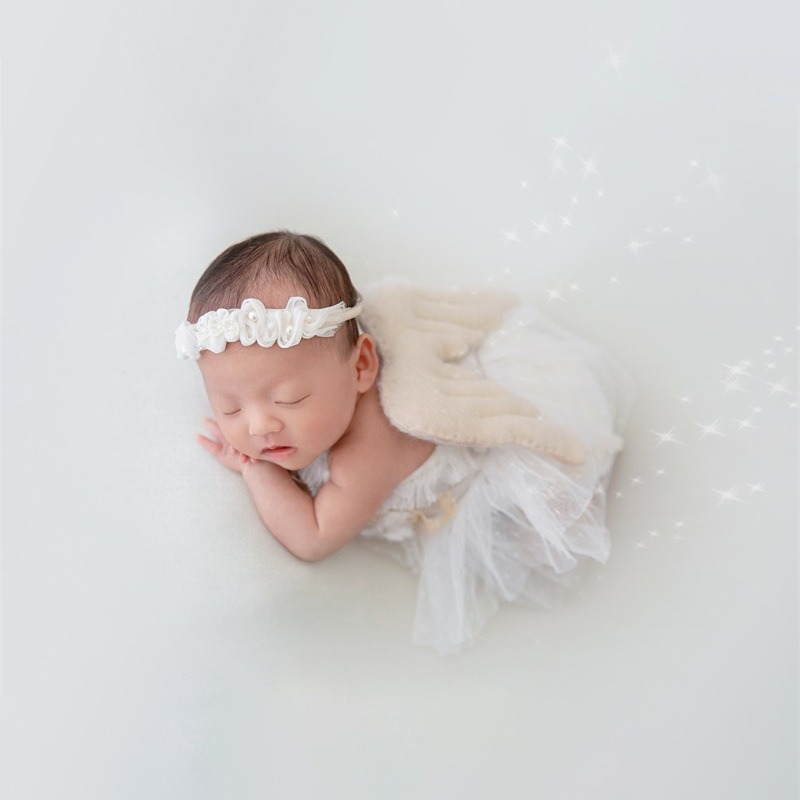 Newborn Photography Prop Swan  - Photography Day avis et prix