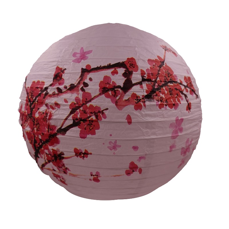 30cm Printed Paper Chinese Sty - Photography Day avis et prix