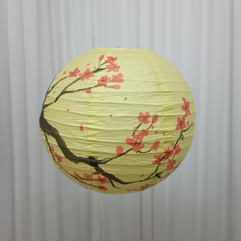30cm Printed Paper Chinese Sty - Photography Day avis et prix