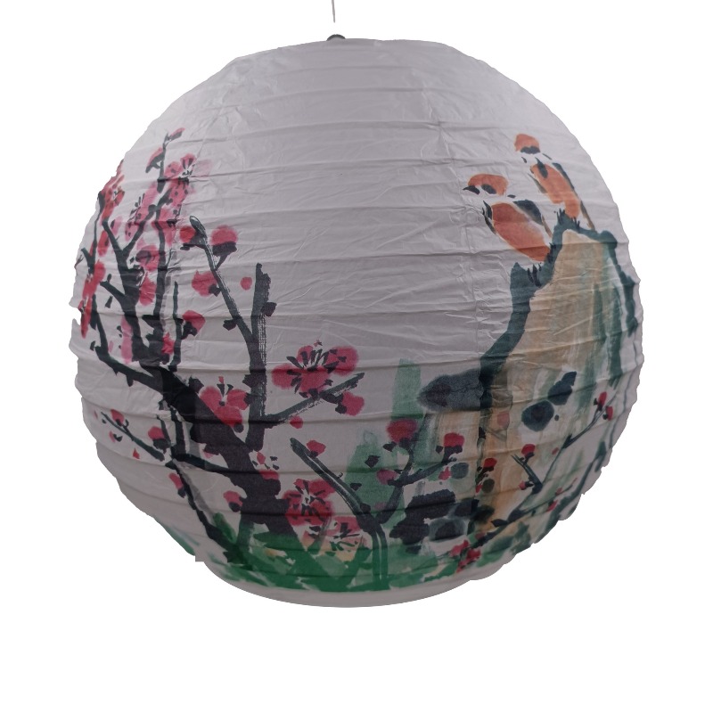 30cm Printed Paper Chinese Sty - Photography Day avis et prix